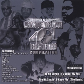 It's Under My Rug Pimp C of UGK & Sir T