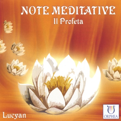 Note Meditative - Il Profeta
