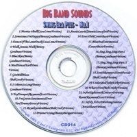 Big Band Sounds - Softly, As In a Morning Sunrise (Artie Shaw Version)