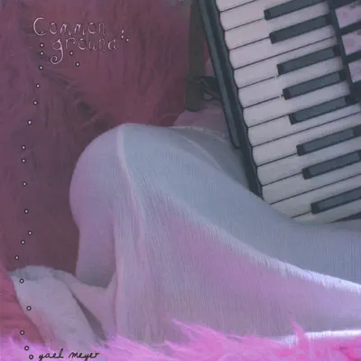 Escucha Common Ground de Yael Meyer.