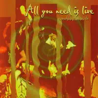 Man On The Run — Cowboy Mouth