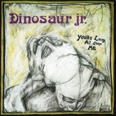 Dinosaur Jr. - Just Like Heaven