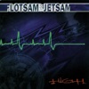 Flotsam and Jetsam - Hallucinational