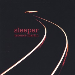 Terence Martin - The Way It Didn't Go