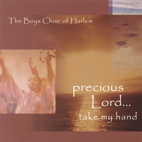 Precious Lord....take My Hand cover art