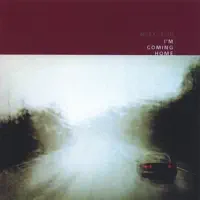 The Journey — Mark Irvin