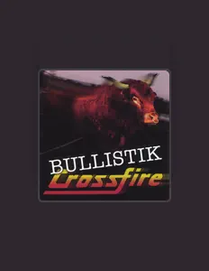 聆聽 Crossfire、觀看音樂影片、閱讀小傳、查看巡演日期等！