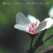 Butterfly Waltz - Brian Crain