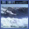The Sentinals - Sunset Beach