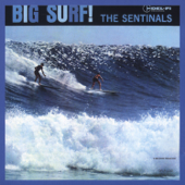 Surfin' - The Sentinals
