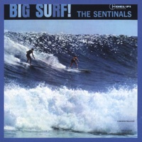The Sentinals - Surfin' Tragedy