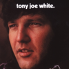 Tony Joe White - Tony Joe White bild