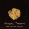 Ashram - Angel Tears lyrics