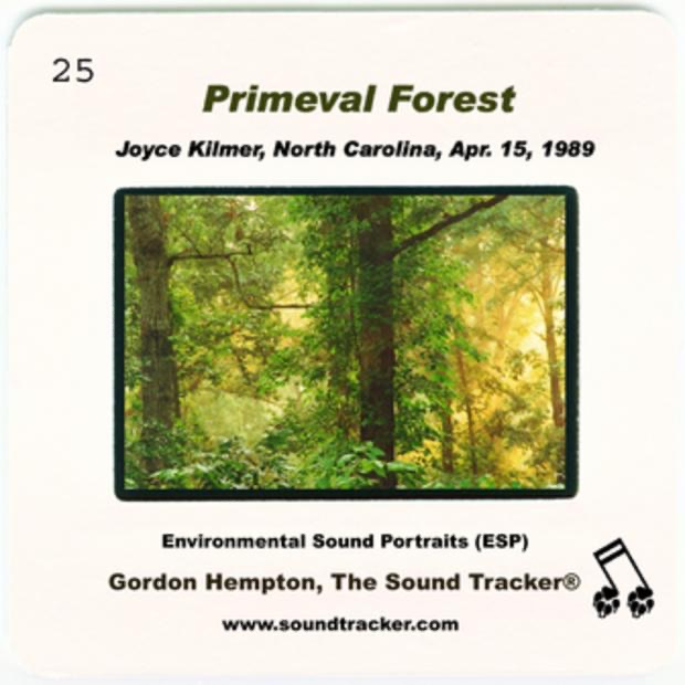 Primeval Forest