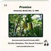 Promise (Amazonia, Brazil, December 5,1990)