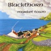 Blackthorn - Hills of Connemara / Mrs Foster's Hornpipe (Reels)