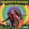 Doctor Looney's Remedy - Parachute Express lyrics