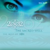 The Sacred Well - The Best of 2002