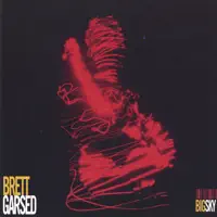 Friend Or Foe — Brett Garsed