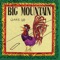 Reggae Inna Summertime - Big Mountain lyrics