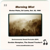 Morning Mist (Horton Plains, Sri Lanka, October 20, 1990)