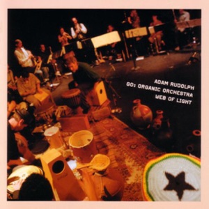 Go: Organic Orchestra Web of Light