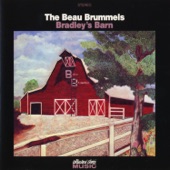 The Beau Brummels - Love Can Fall A Long Way Down