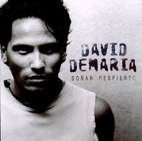 Soñar Despierto - David DeMaría
