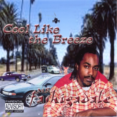 COOL LIKE the BREEZE