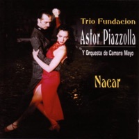 Trio Fundacion Astor Piazolla y Orquestra de Camara Mayo - Verano Porteno (Las Cuatro Estaciones Portenas - Variations)