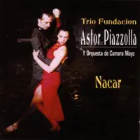 Verano Porteno (Las Cuatro Estaciones Portenas - Variations) — Trio Fundacion Astor Piazolla y Orquestra de Camara Mayo