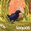 Loquat