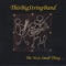 Leather Breeches - This Big String Band lyrics