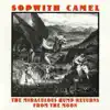 Sopwith Camel - Oriental Fantasy