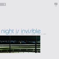 Night is Invisible