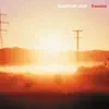 Sunset Flight