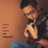 Jake Shimabukuro - Hikaru Kaigara