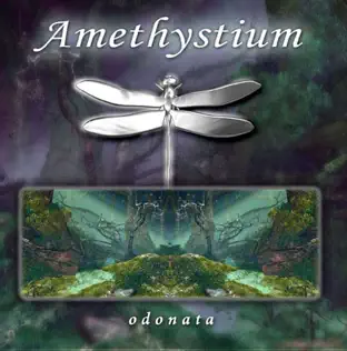 télécharger l'album Download Amethystium - Odonata album