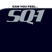 Can You Feel... (Original Mix)