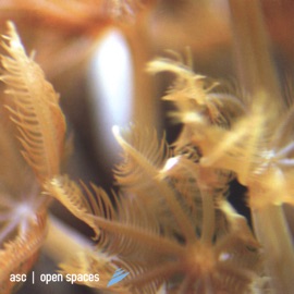 Mind Control (remastered) ASC