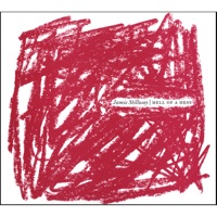 Jamie Stillway - Stout Street Rag