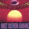 The Dixie Werewolves - Turn Me Loose