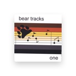 Bear Tracks