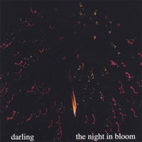 The Night In Bloom - Darling