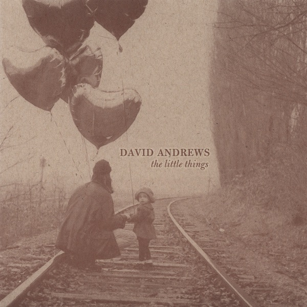 Обложка альбома «the Little Things» — David Andrews