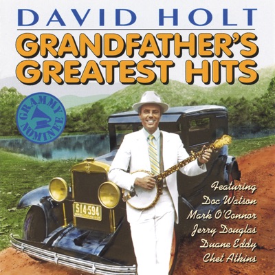 David Holt