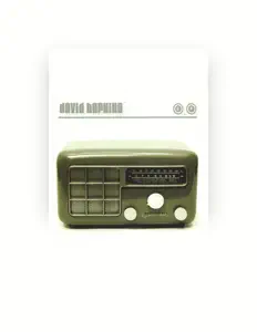 Listen to David Hopkins, watch music videos, read bio, see tour dates & more!