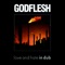 Gift from Heaven (Breakbeat) - Godflesh lyrics