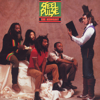 True Democracy - Steel Pulse