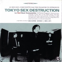 TOKYO SEX DESTRUCTION